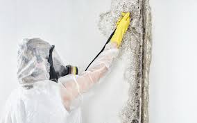 Best Residential Mold Inspection & Testing  in Sarand, AL